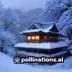 用户体验编辑张雪，负责将复杂政务流程转化为通俗易懂的操作指南